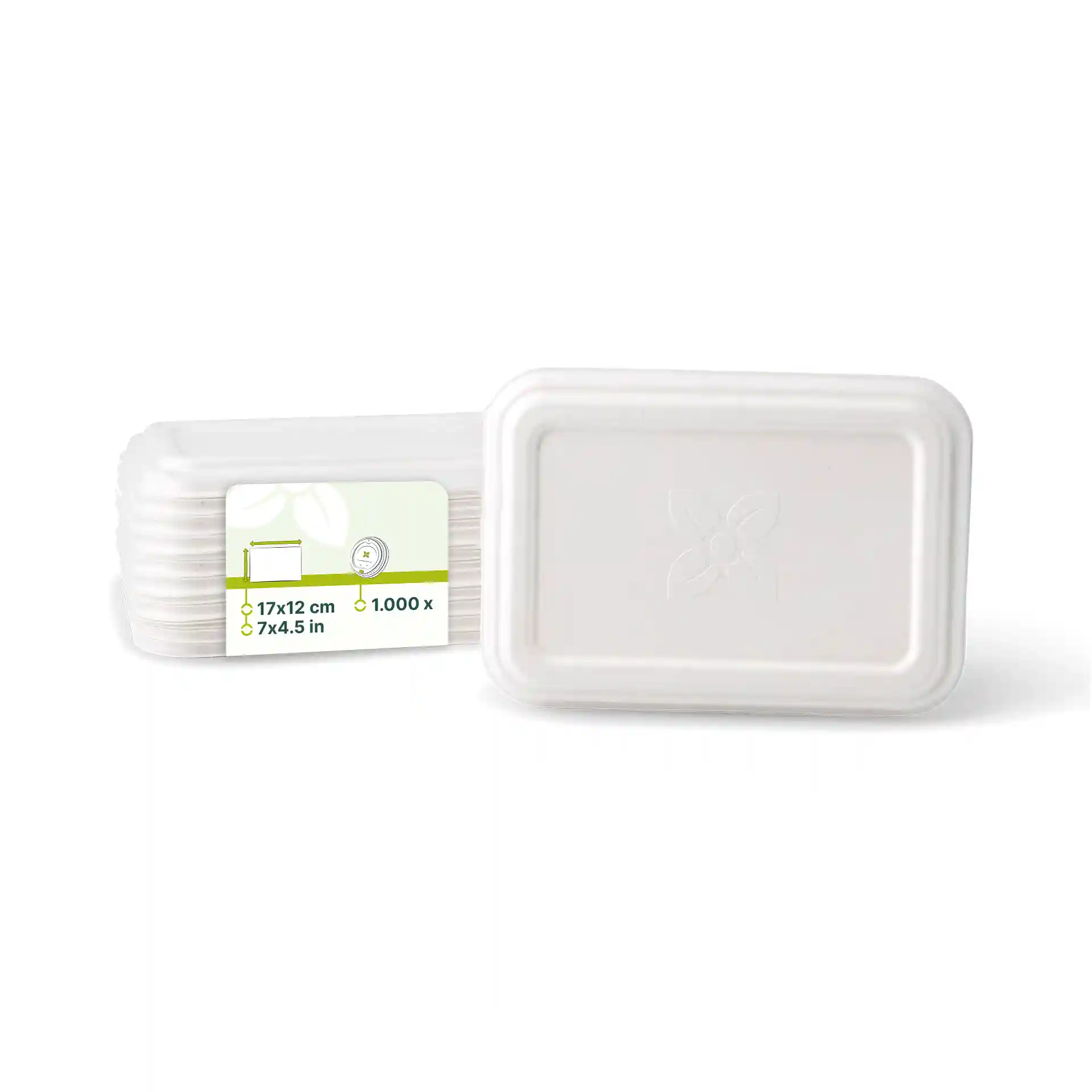 White rectangular sugarcane lid measuring 17 x 12 cm, shown with several similar items behind.