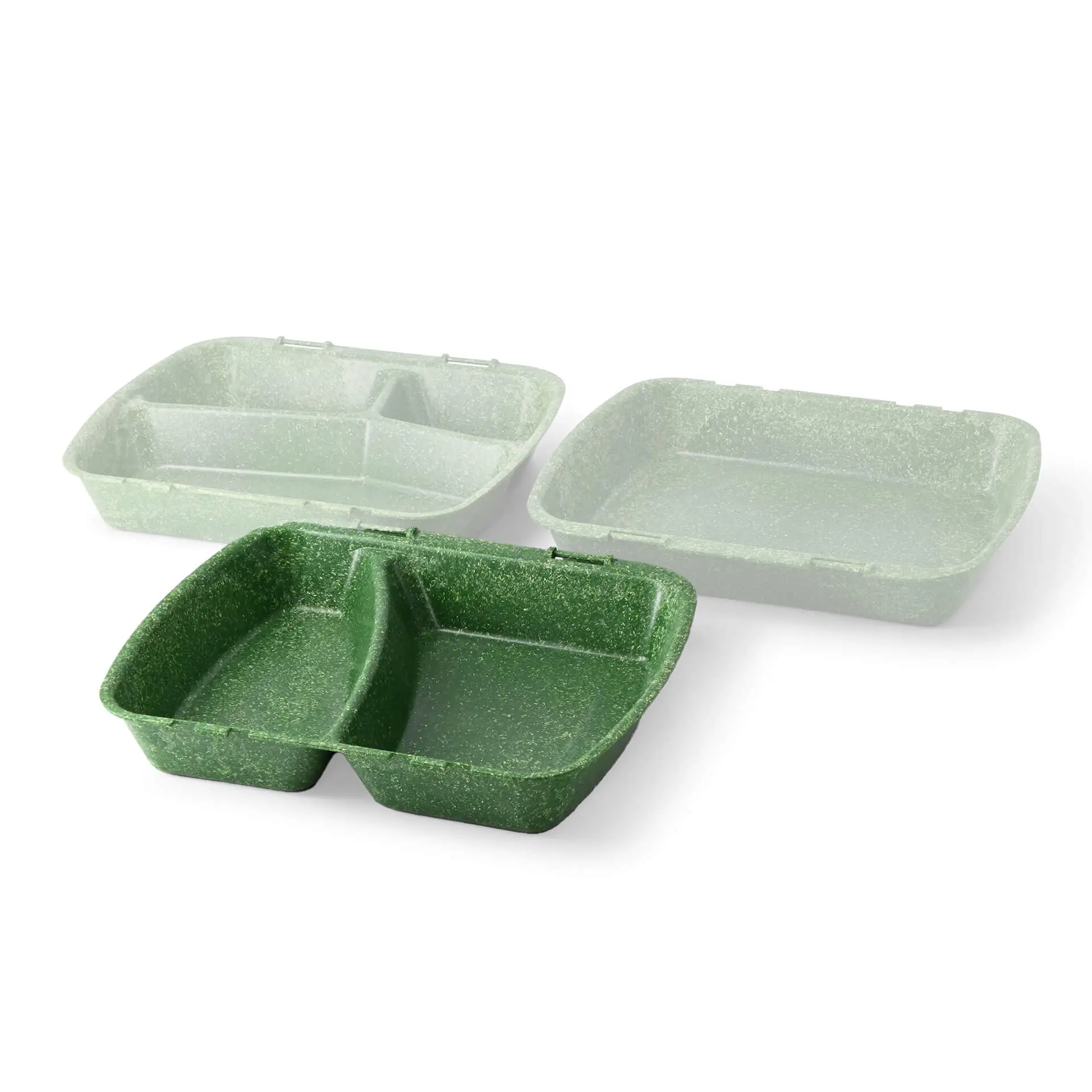 | 2 FOR 1 | Reusable meal containers "merways Box" 24.5 x 20 x 4.5 cm, 2 compartments, HP4/2, spinach / dark green