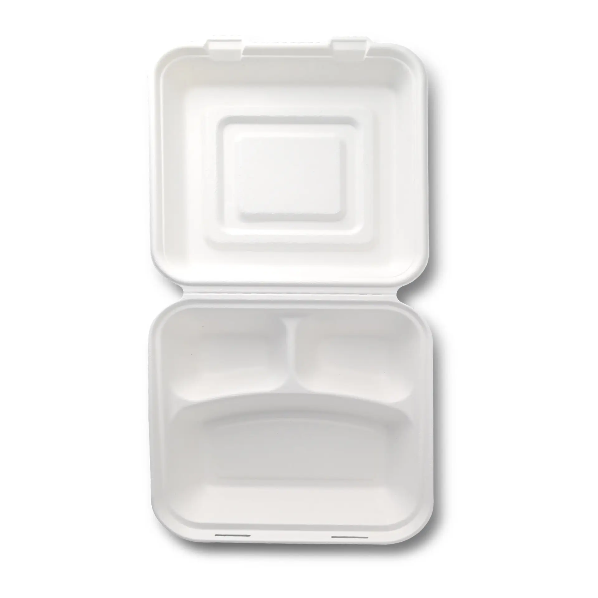 Meal container made from sugarcane, 23.5 x 23.5 x 8 cm, 3 compartments, hinged lid, rectangular