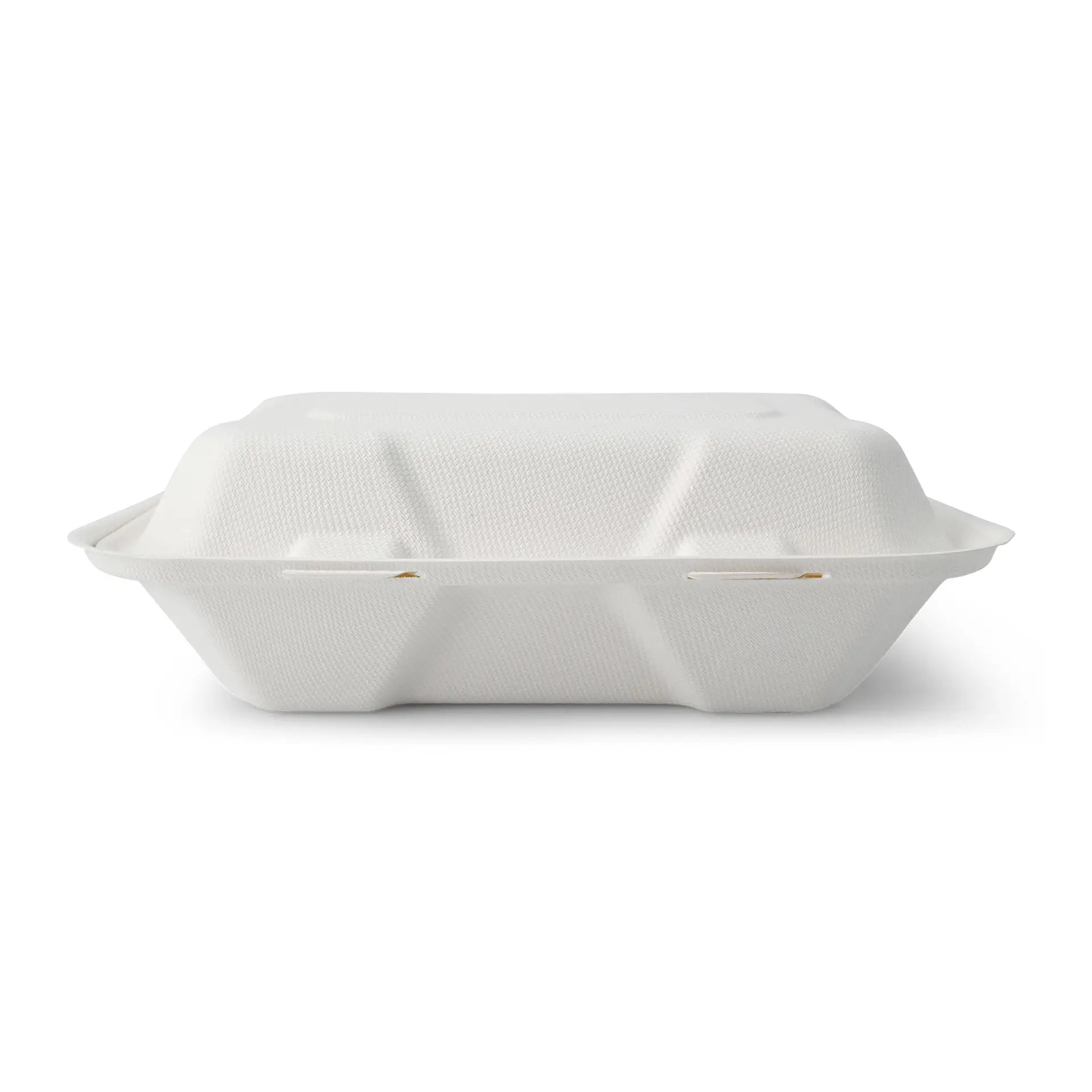 Sugarcane-containers 23 x 15.5 x 7.5 cm, hinged-lid, rectangular Sugarcane-containers 23 x 15.5 x 7.5 cm, hinged-lid, rectangular
