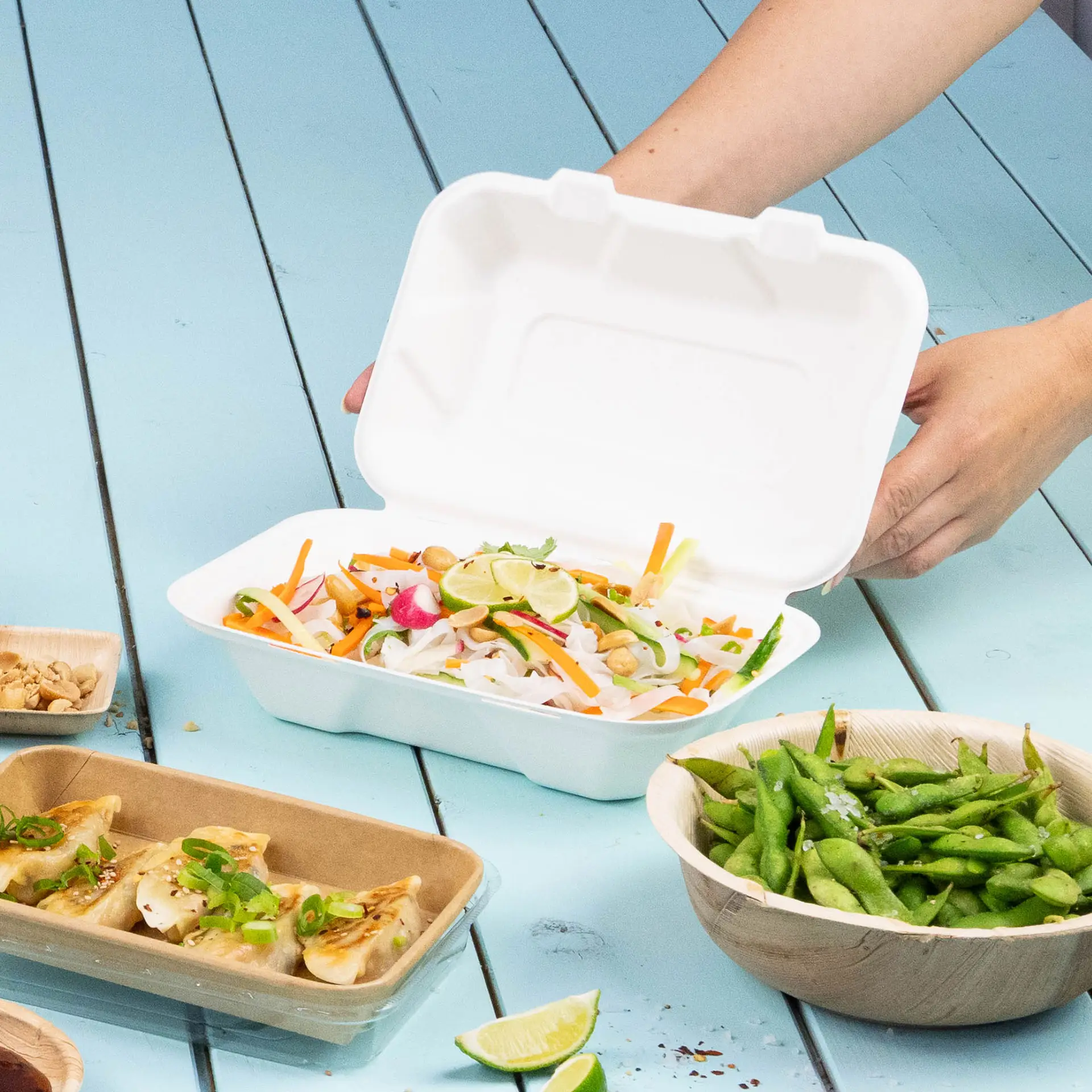 Sugarcane take-away container, dimensions 230 mm x 155 mm x 75 mm; biodegradable with a flip lid for high-fat food.