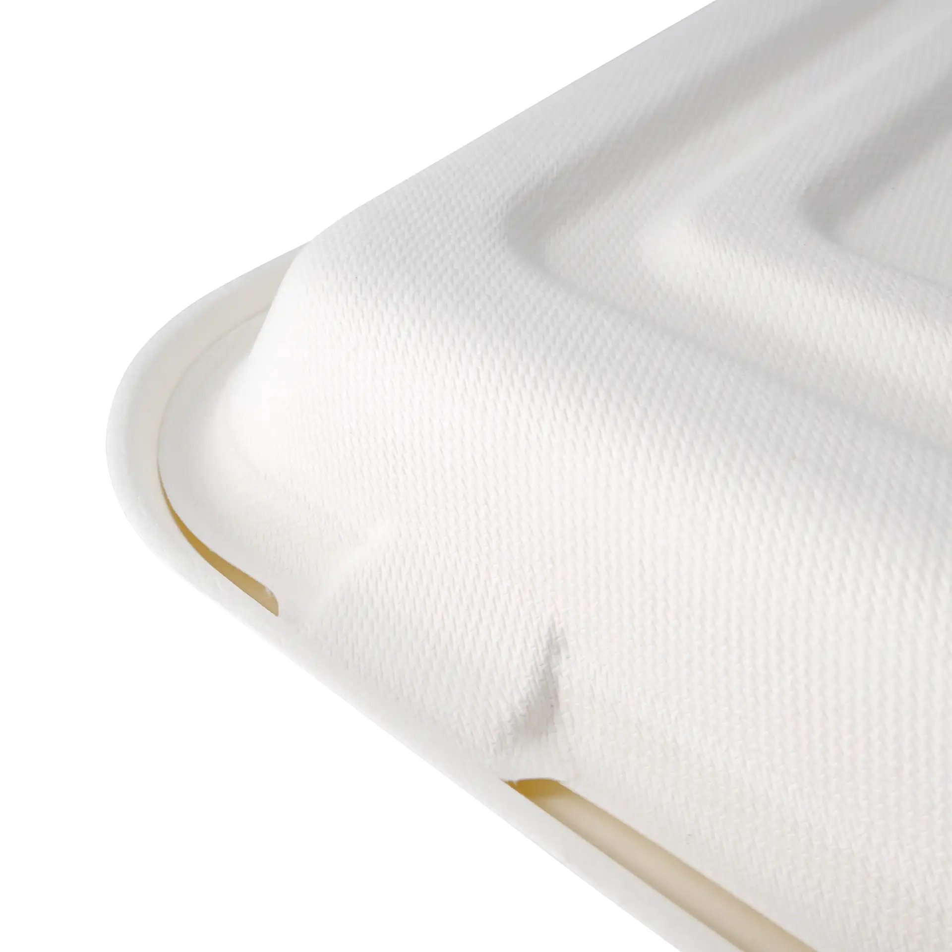 Meal container made from sugarcane, 23.5 x 23.5 x 8 cm, 3 compartments, hinged lid, rectangular
