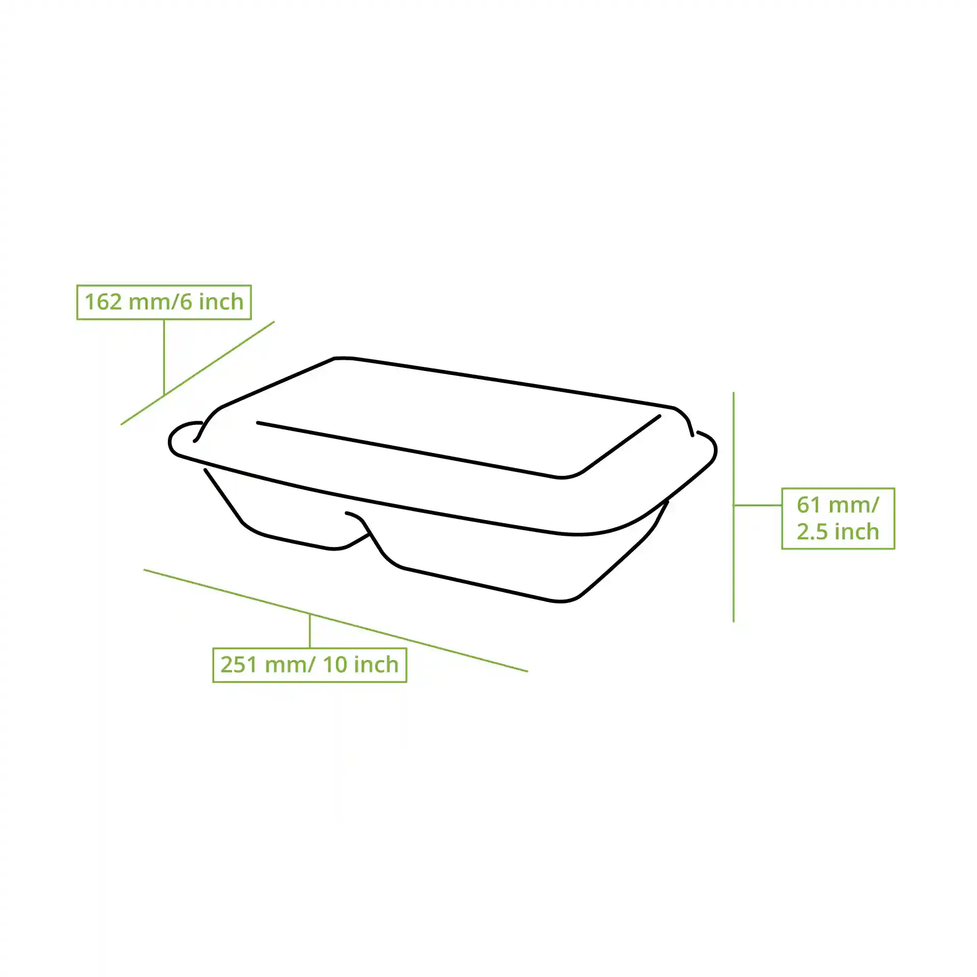 Schematic drawing of a rectangular sugarcane container with dimensions 250 mm by 165 mm by 61 mm and two compartments.