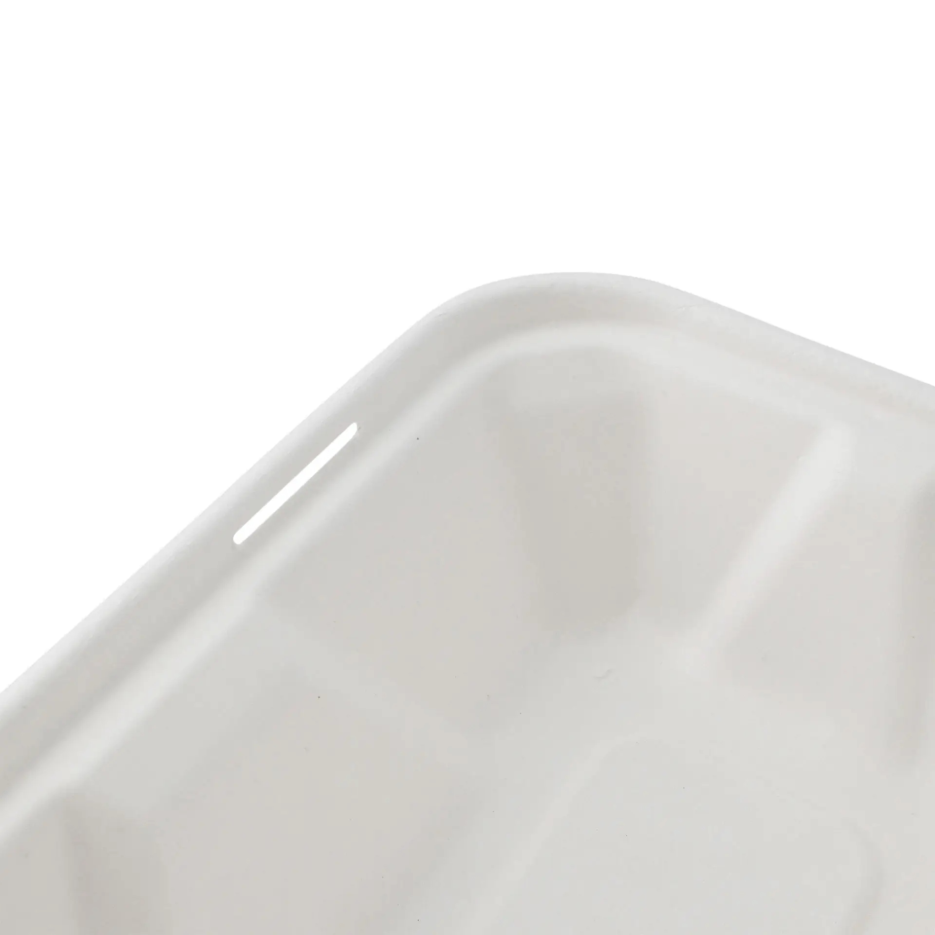 Sugarcane-containers 23 x 15.5 x 7.5 cm, hinged-lid, rectangular Sugarcane-containers 23 x 15.5 x 7.5 cm, hinged-lid, rectangular