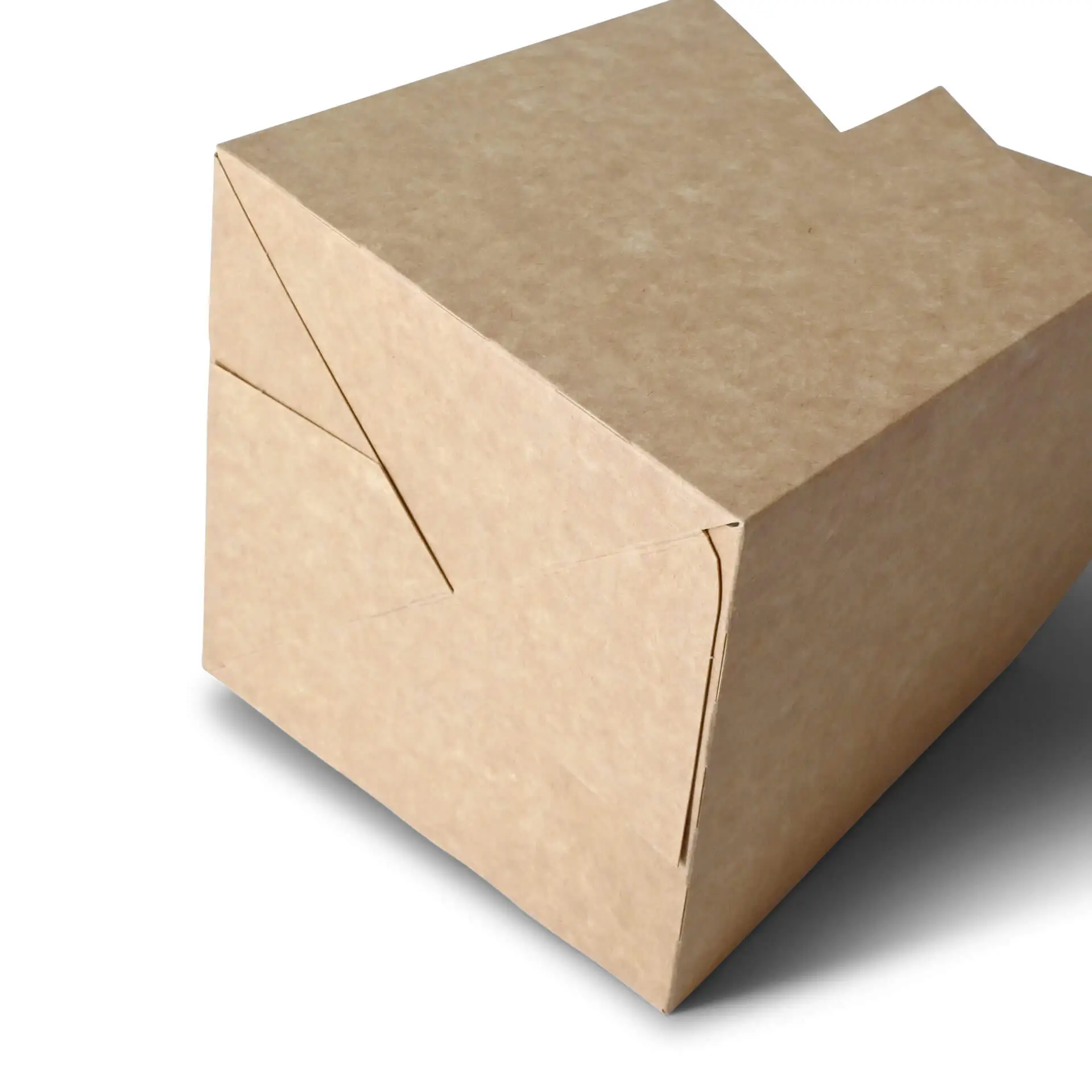 Bottle carrier (4-pack) made of cardboard, foldable