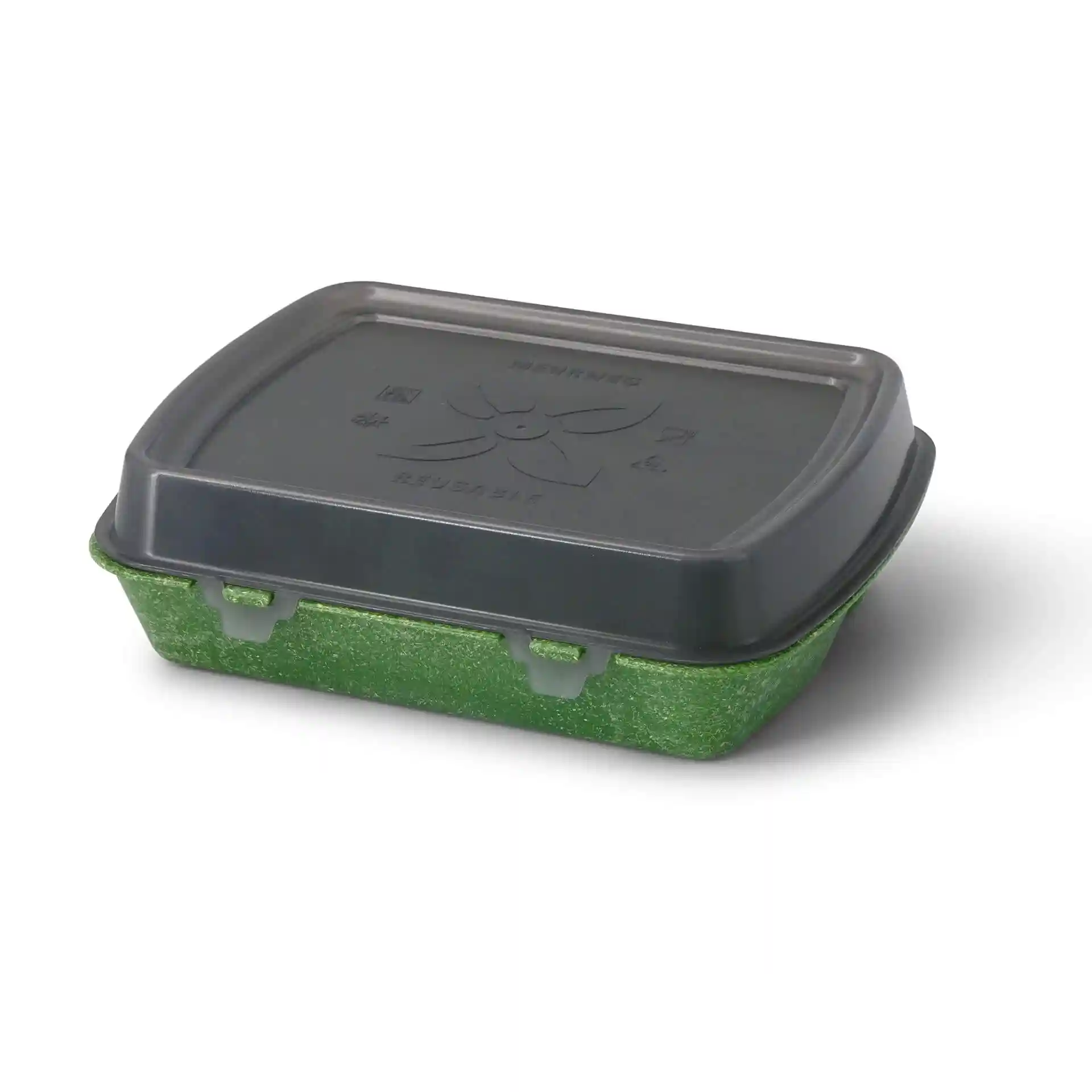 Rectangular reusable container with a grey lid and a green base, measuring 24.5 x 20 x 4.5 cm.