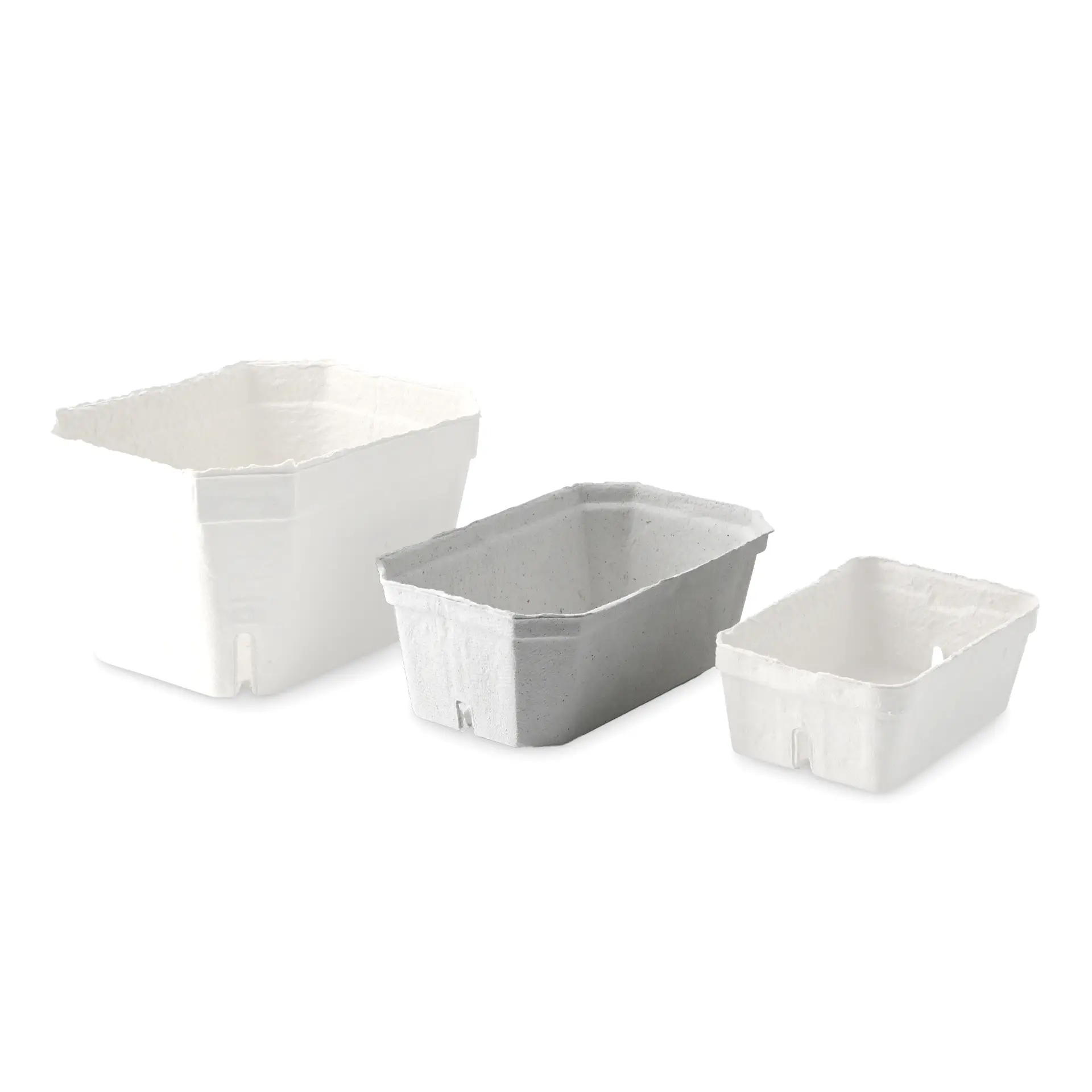 Beerenschalen aus Holzschliff 500 g, weiß