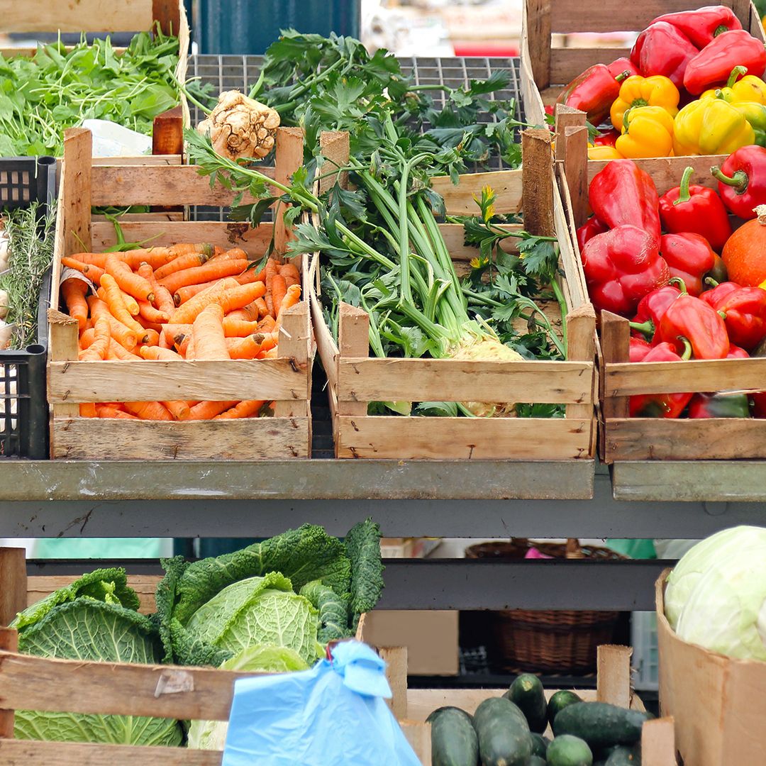 regionalitaet_preview1