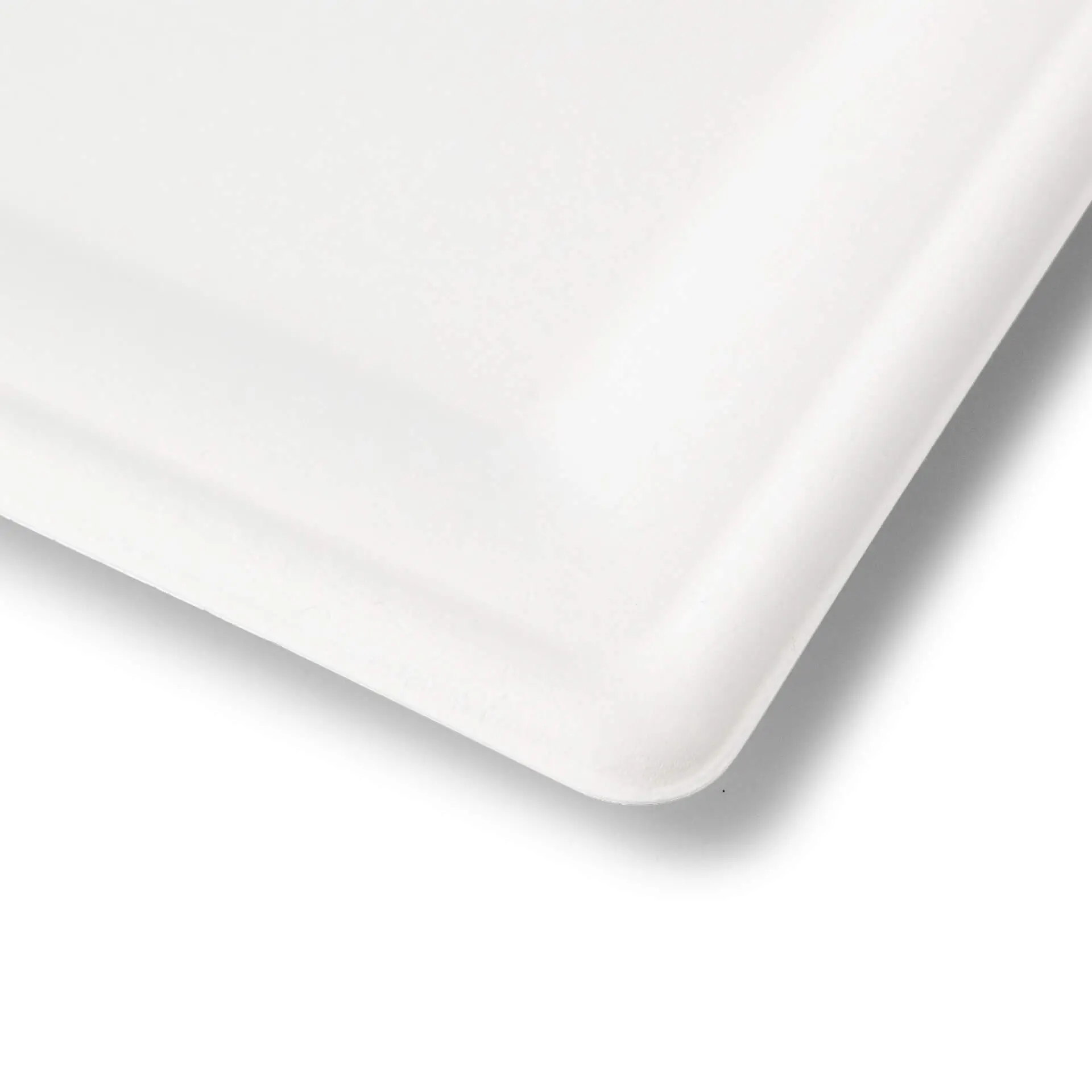 Sugarcane-plates, 20 x 20 cm, square Sugarcane-plates, 20 x 20 cm, square