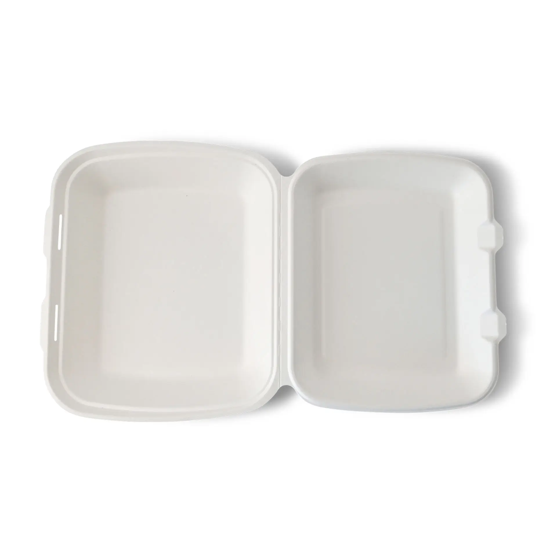 Sugarcane-containers 25 x 20 x 7.5 cm, HP4, hinged-lid, rectangular Sugarcane-containers 25 x 20 x 7.5 cm, HP4, hinged-lid, rectangular