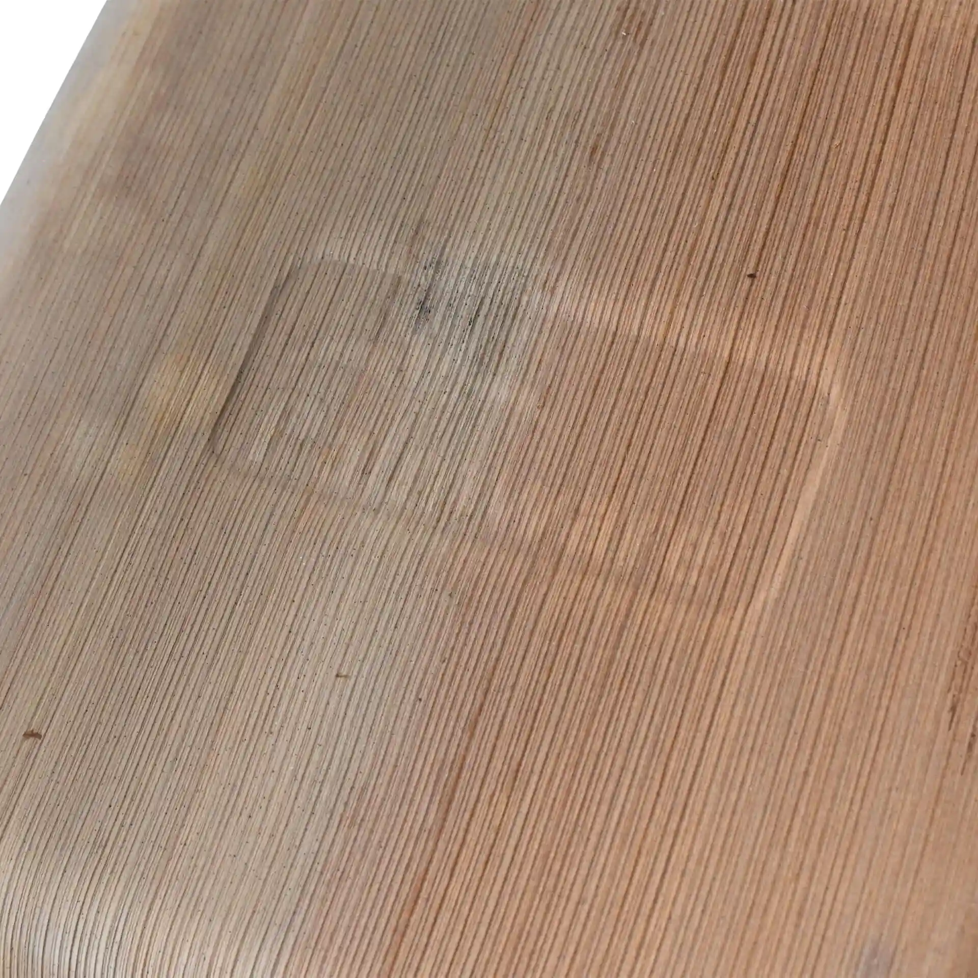 Close-up of a textured palm leaf surface with a faint rectangular imprint.