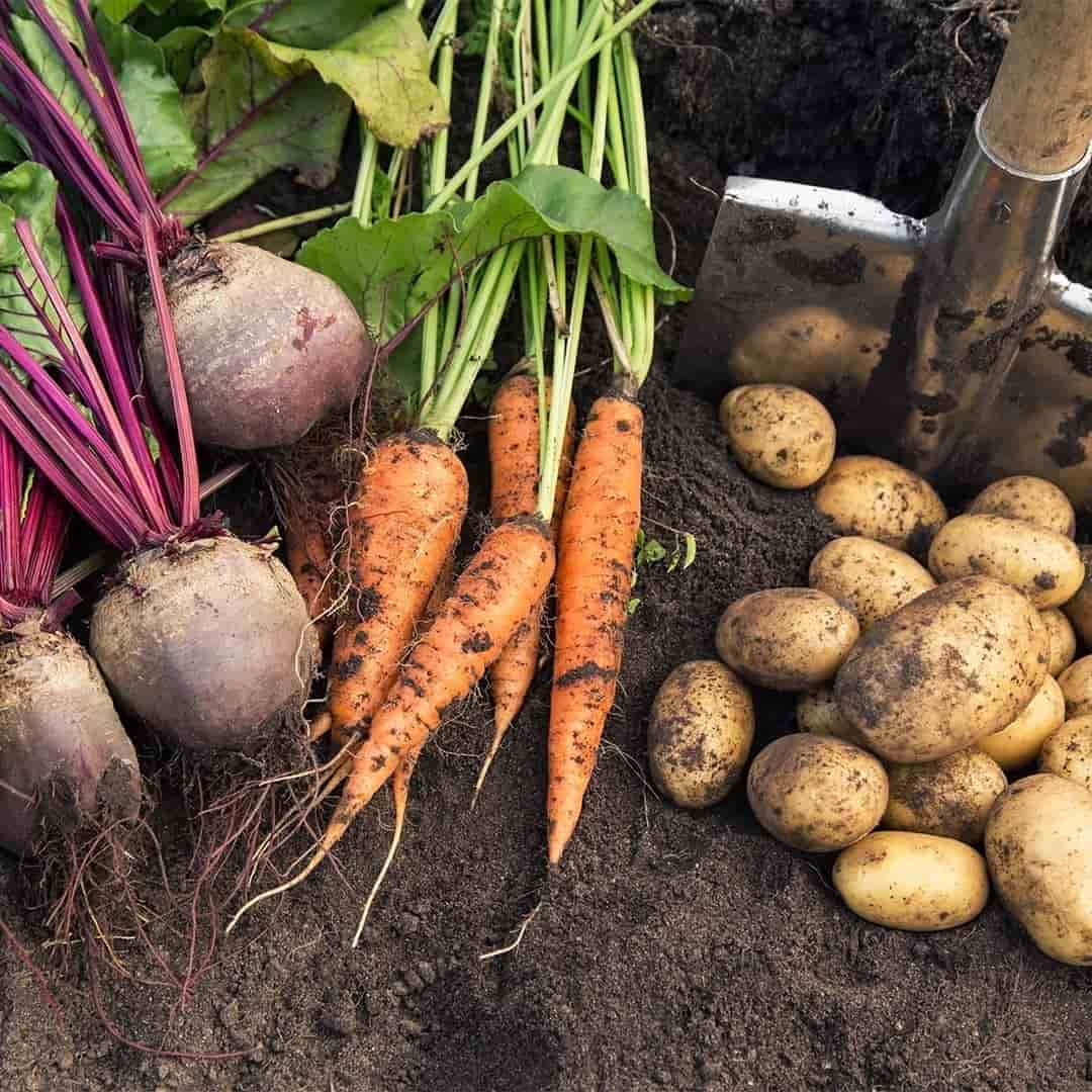 eigener_anbau_preview2