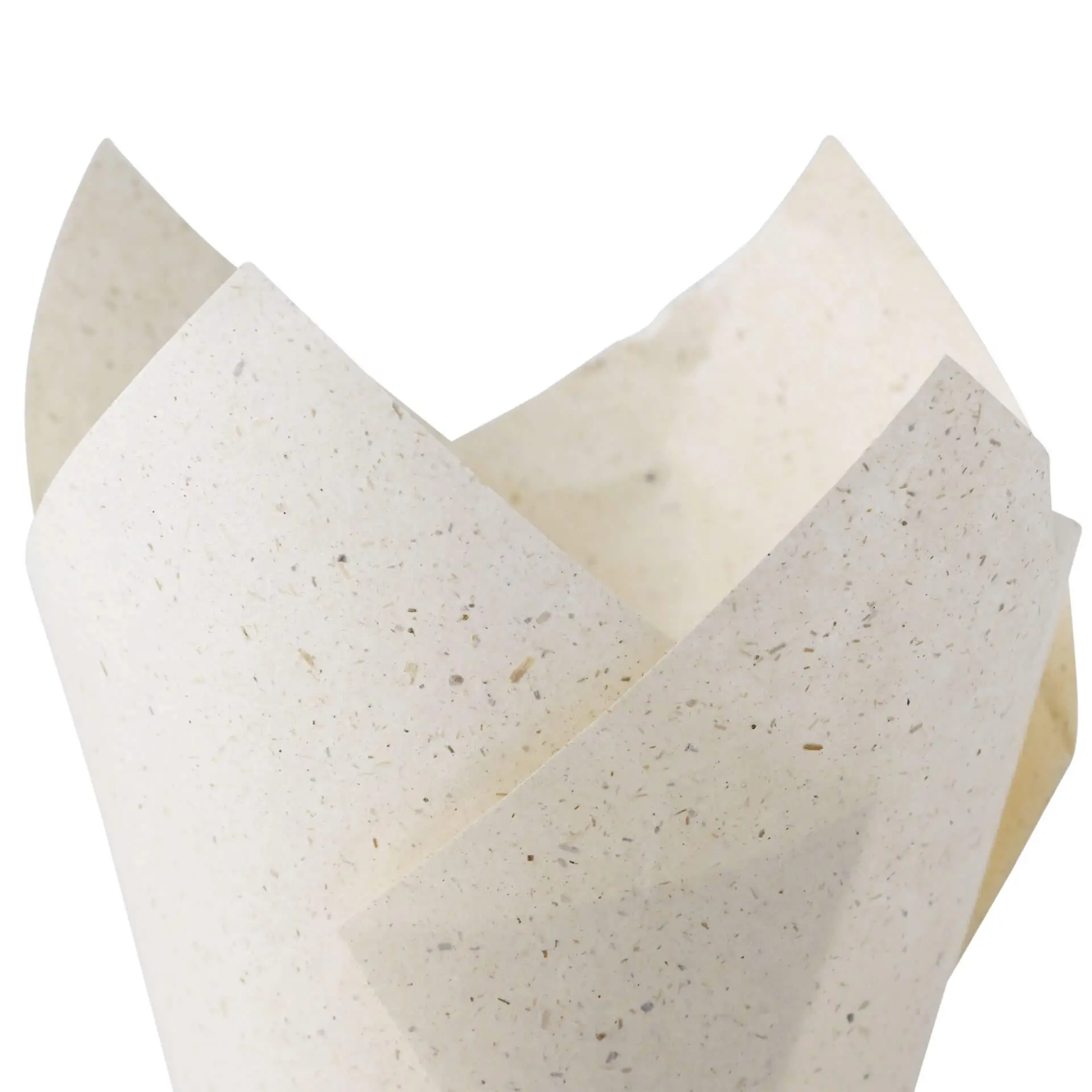 dre025161-muffinfoermchen-tulpe-aus-graspapier-5-cm-rund-braun-4