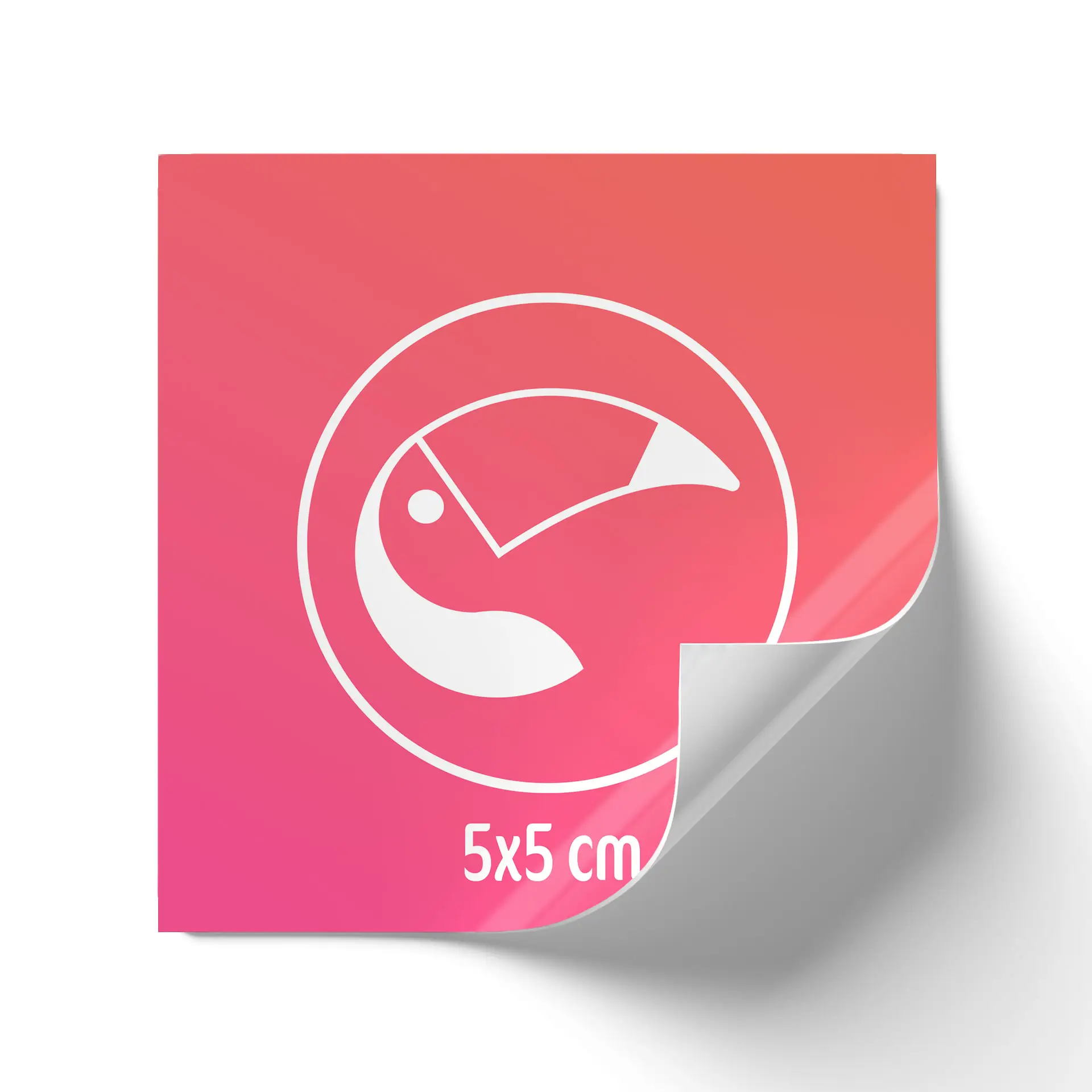 Sticker with a pink gradient background; features a white toucan icon and the size "5x5 cm" at the bottom.