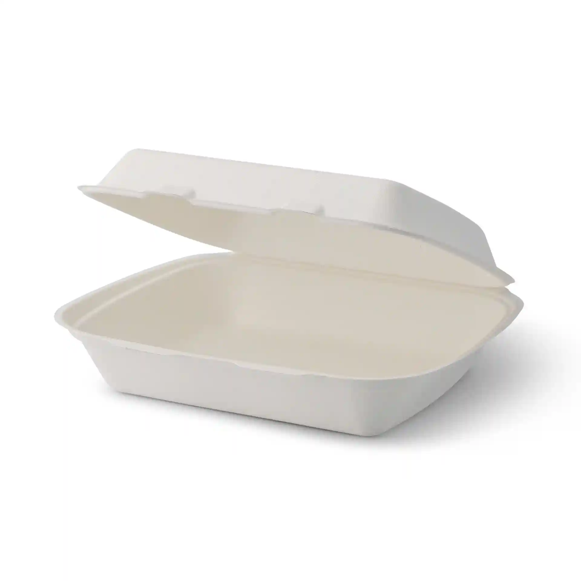 Rectangular white sugarcane container with a hinged lid, measuring 25 x 20 x 7.5 cm, shown open.