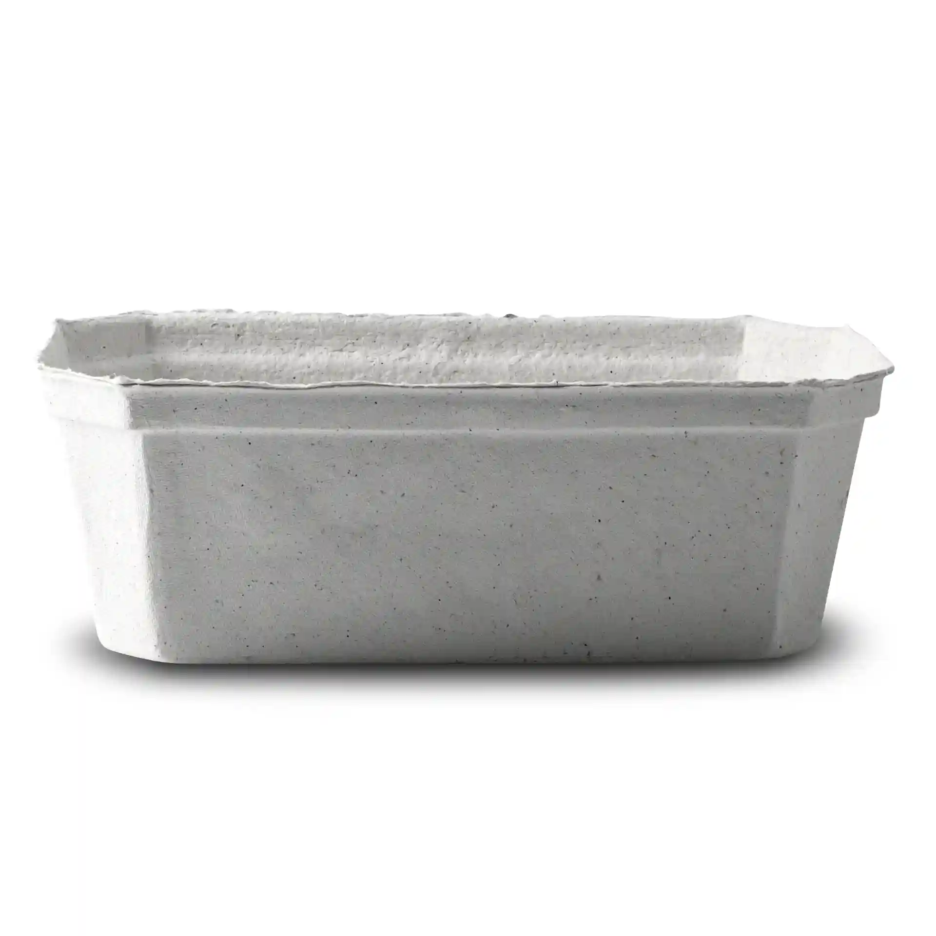 White wood pulp berry punnet with a rectangular shape, measuring 185 mm long, 115 mm wide, and 65 mm high.