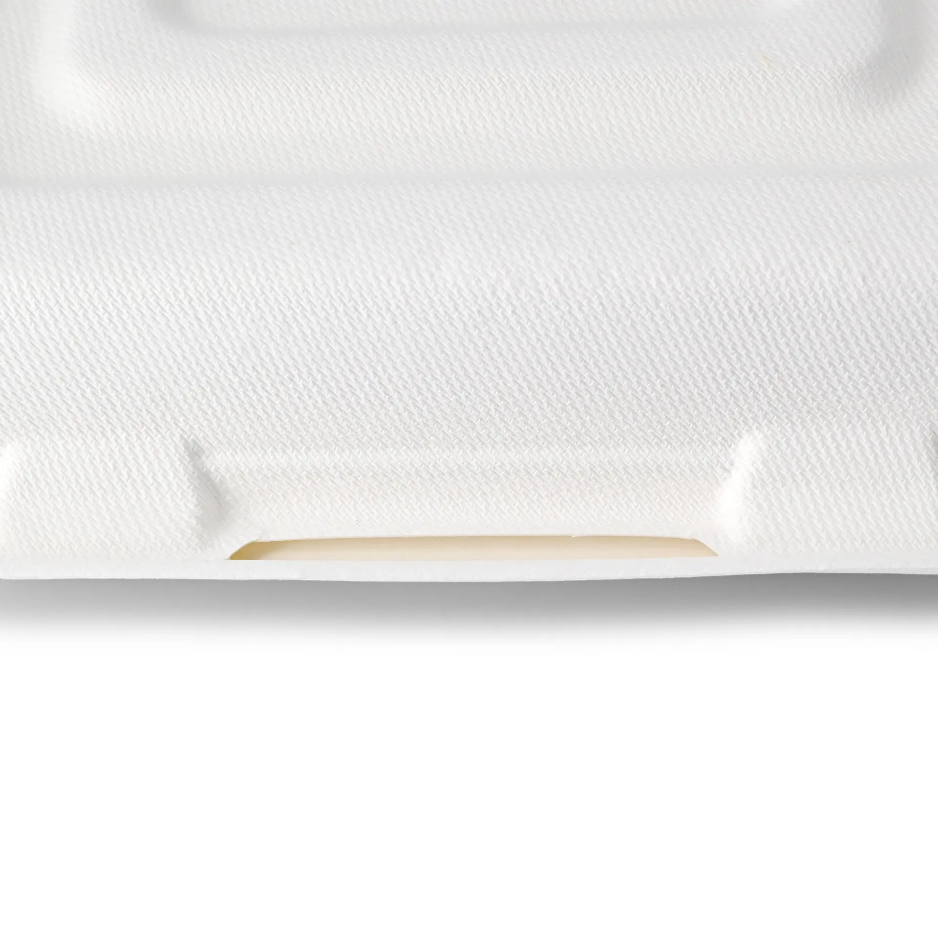 Meal container made from sugarcane, 23.5 x 23.5 x 8 cm, 3 compartments, hinged lid, rectangular