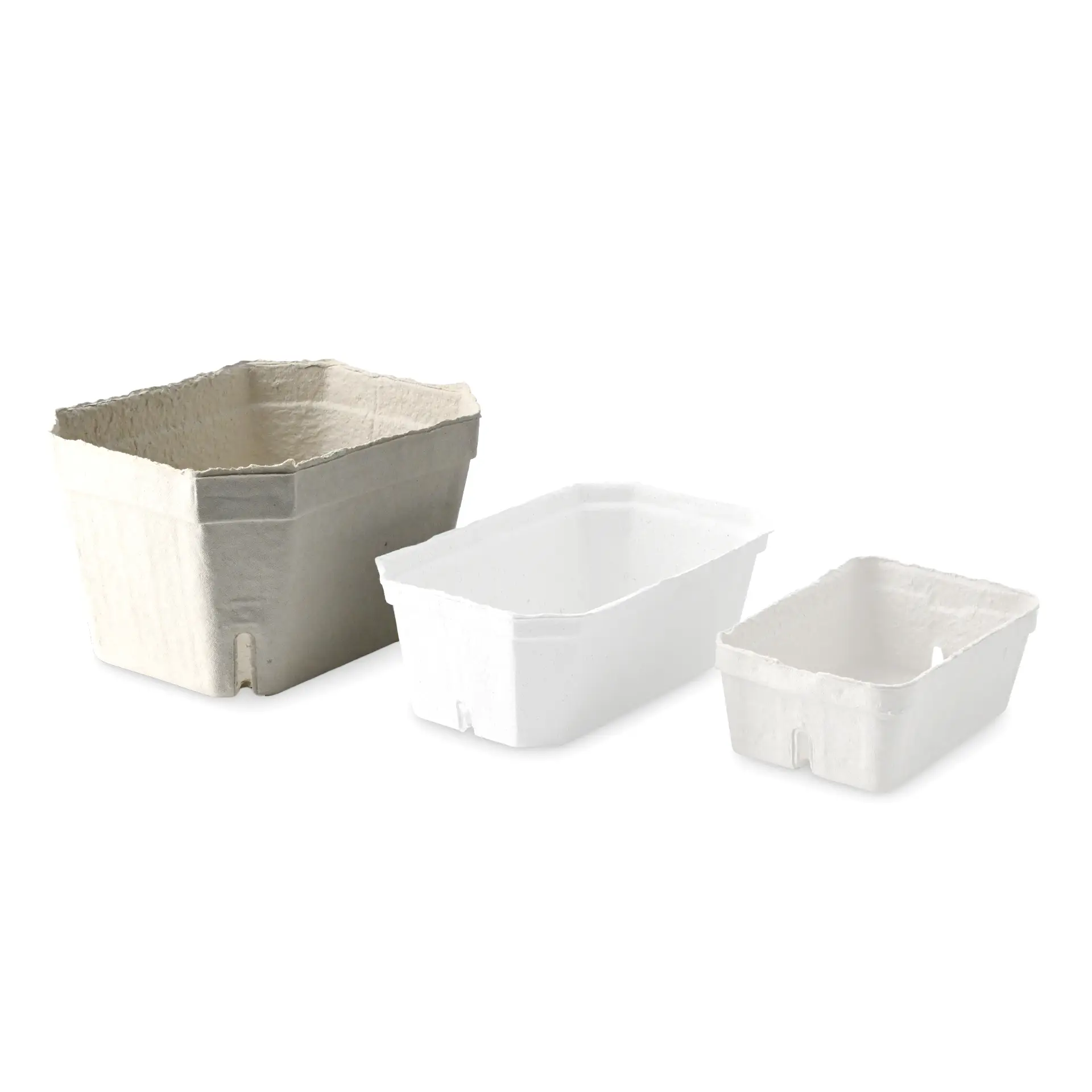 One white wood pulp berry tray with a rectangular shape; two similar trays of different sizes in the background.