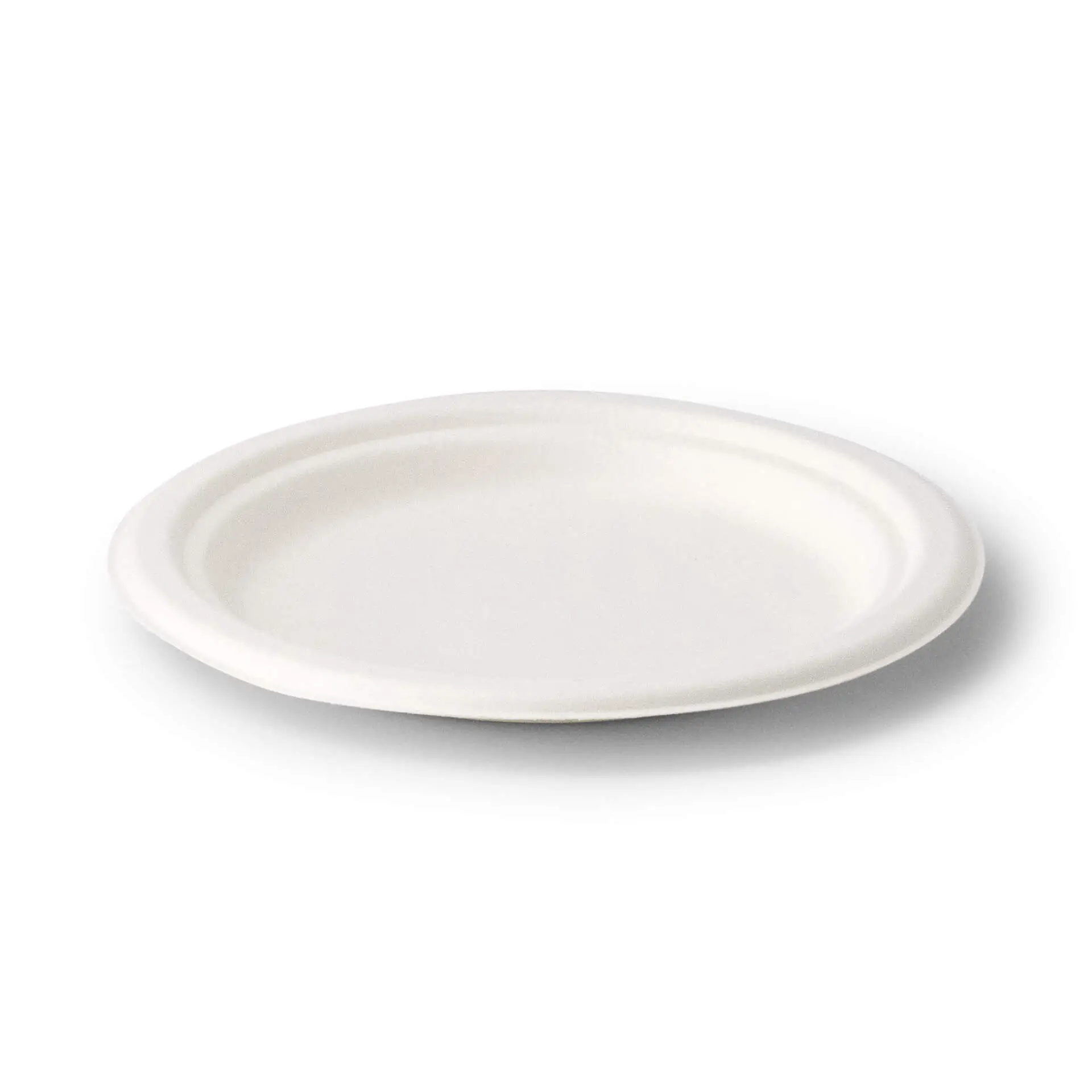 Round disposable plate made from sugarcane, suitable for hot and cold foods, with a clean white surface.