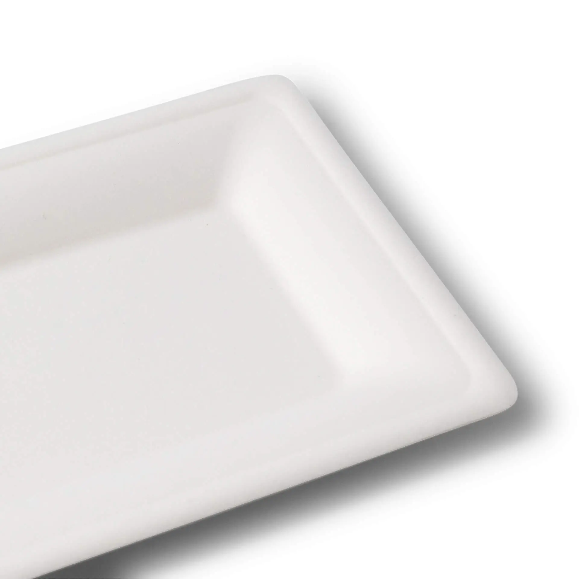 Rectangular sugarcane plate measuring 26 x 13 cm, suitable for hot and cold dishes.