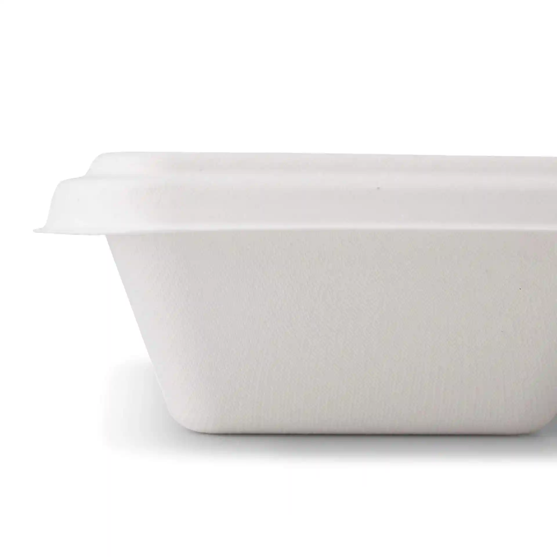 White rectangular sugarcane container with a lid, measuring 23 x 14.5 cm, shown from the side.