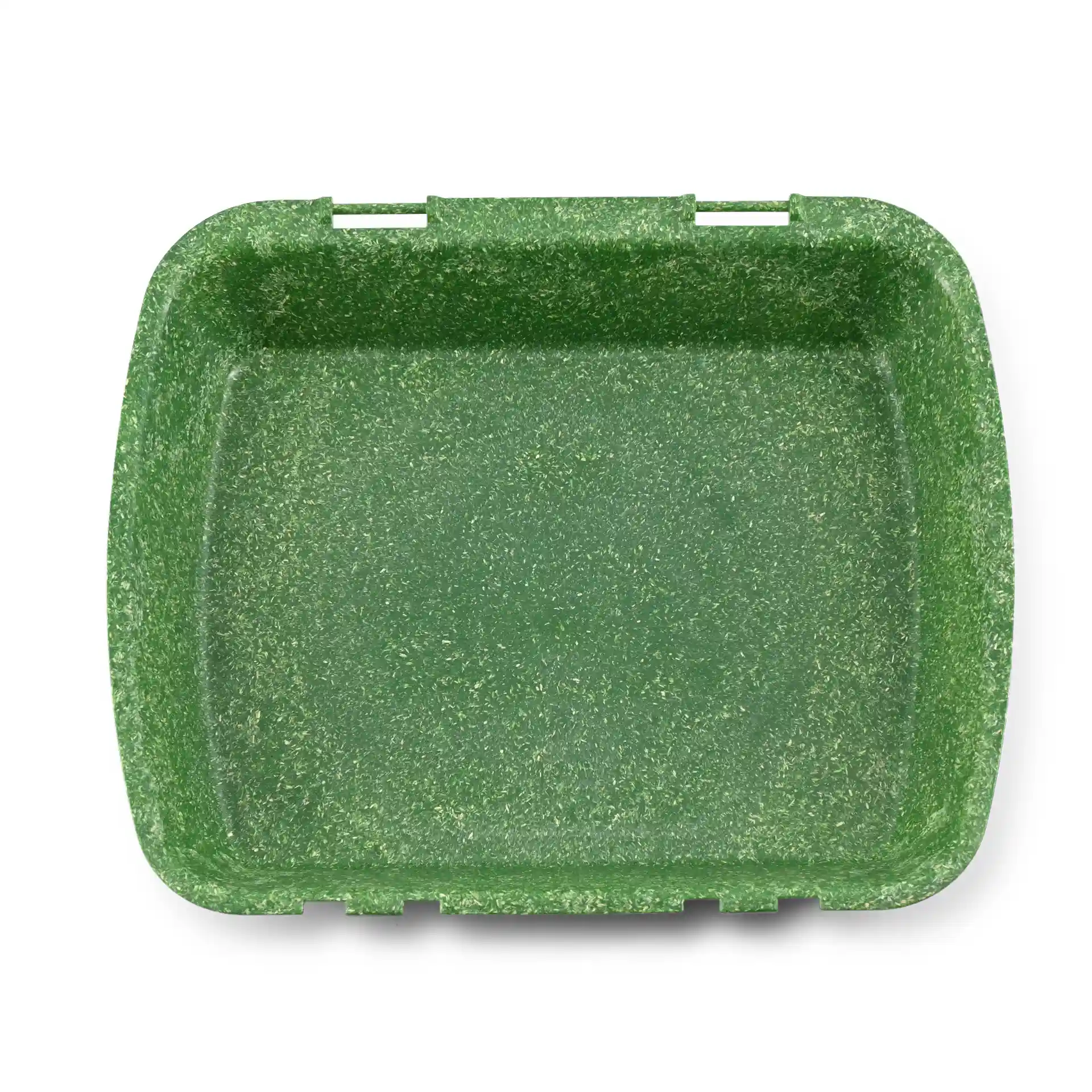 Rectangular green reusable container with a textured surface, measuring 24.5 x 20 x 4.5 cm.