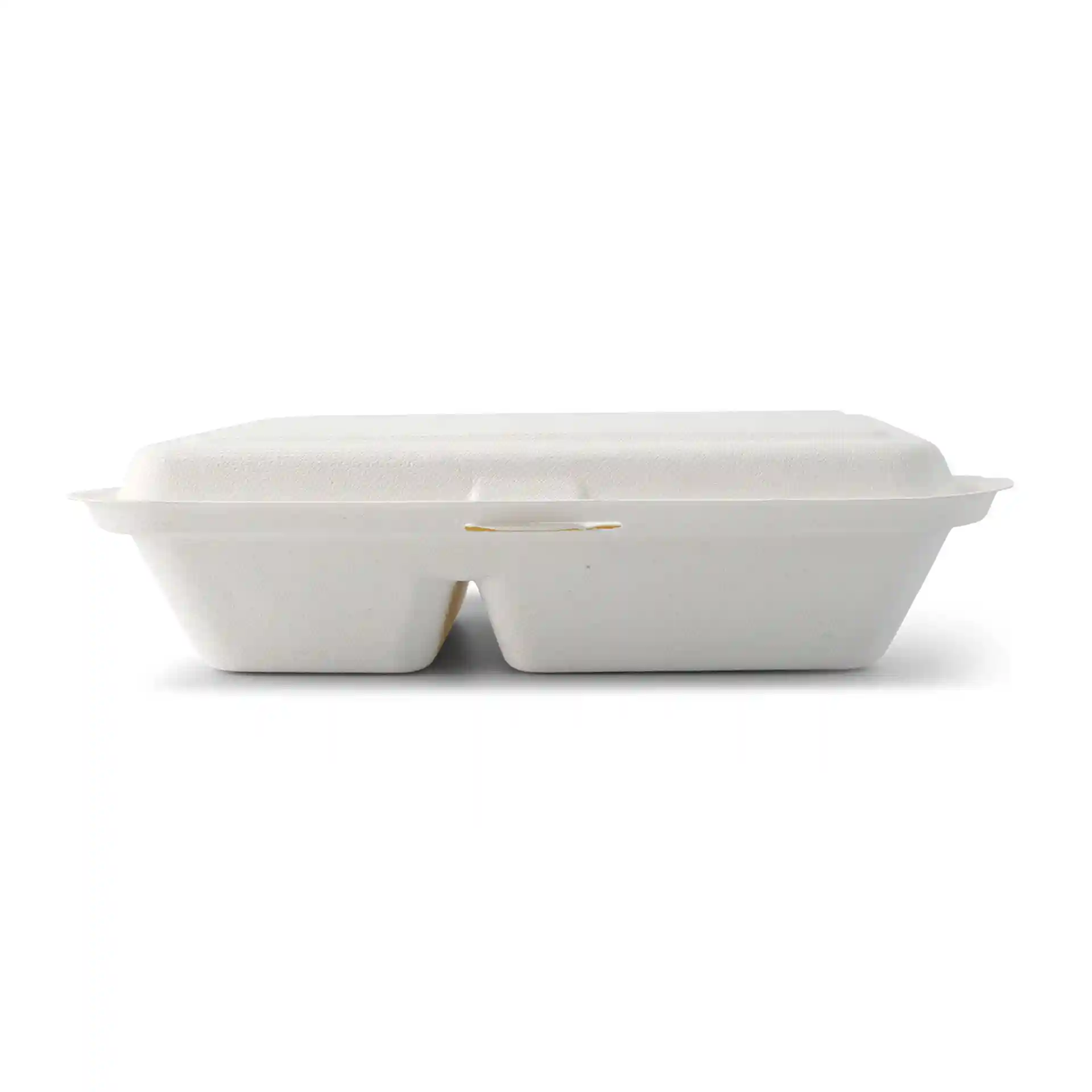 Rectangular cream white sugarcane menu container with a hinged lid and two compartments, viewed from the side.