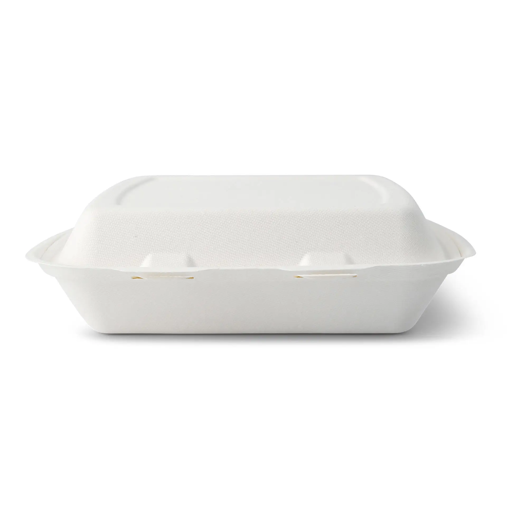 Sugarcane-containers 25 x 20 x 7.5 cm, HP4, hinged-lid, rectangular Sugarcane-containers 25 x 20 x 7.5 cm, HP4, hinged-lid, rectangular
