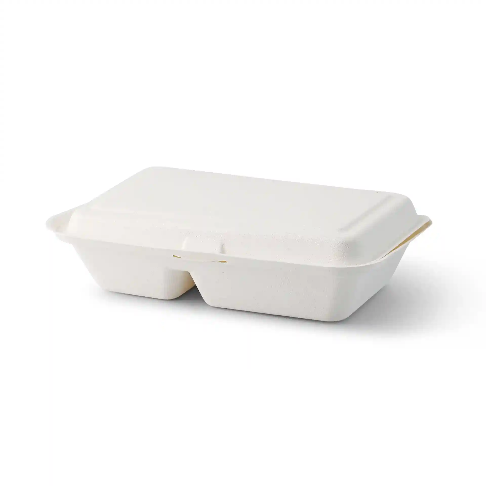 Cream white rectangular sugarcane container with a hinged lid and two compartments, measuring 25 x 16.5 x 6.1 cm.