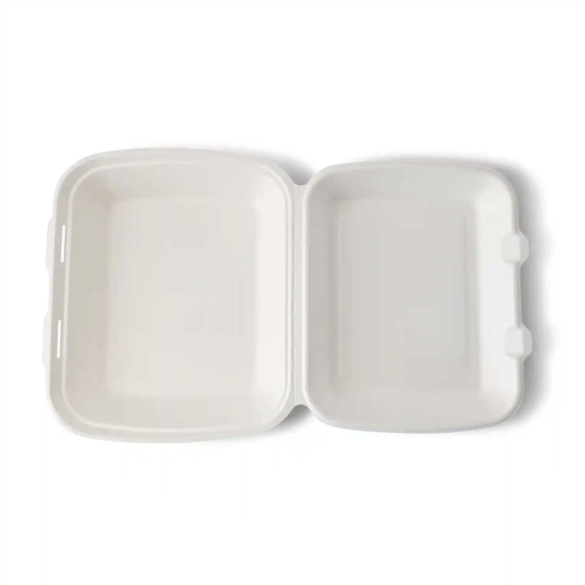 White rectangular hinged-lid container made from sugarcane, measuring 25 x 20 x 7.5 cm, with a smooth interior.